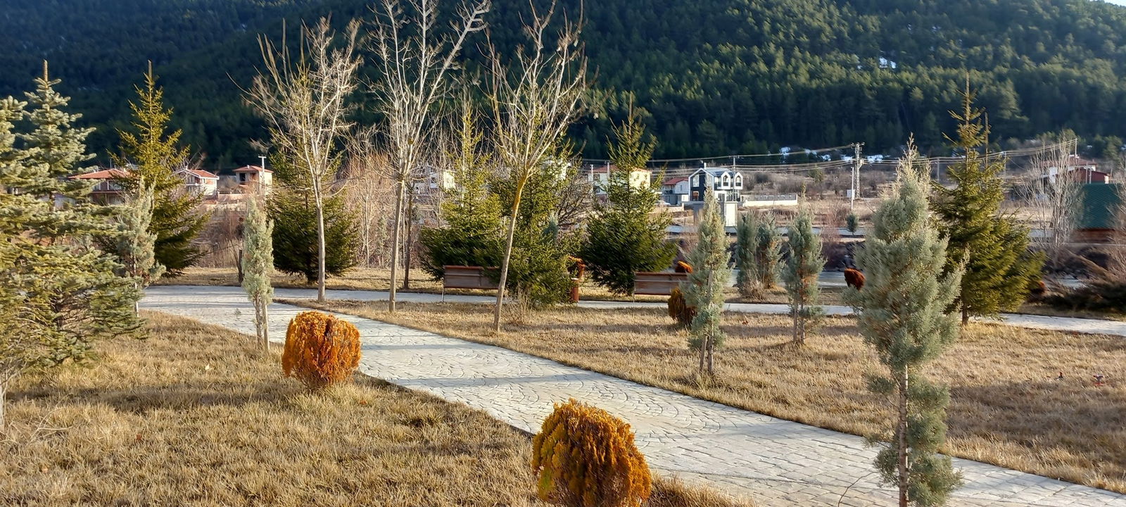 Çamlıdere Gölpark Tesisleri (Düğün, Kahvaltı, Mangal)