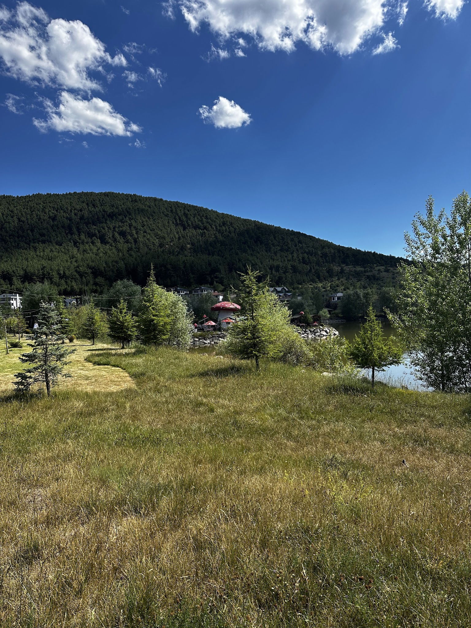 Çamlıdere Gölpark Tesisleri (Düğün, Kahvaltı, Mangal)