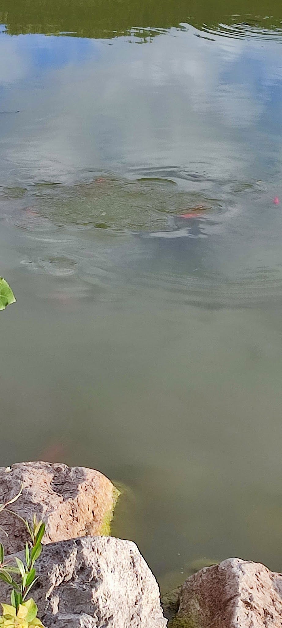 Çamlıdere Gölpark Tesisleri (Düğün, Kahvaltı, Mangal)