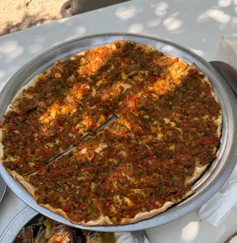 Beynel Bitez resimleri