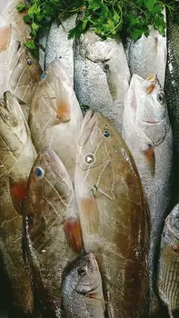 Cemil Baba Restaurant resimleri