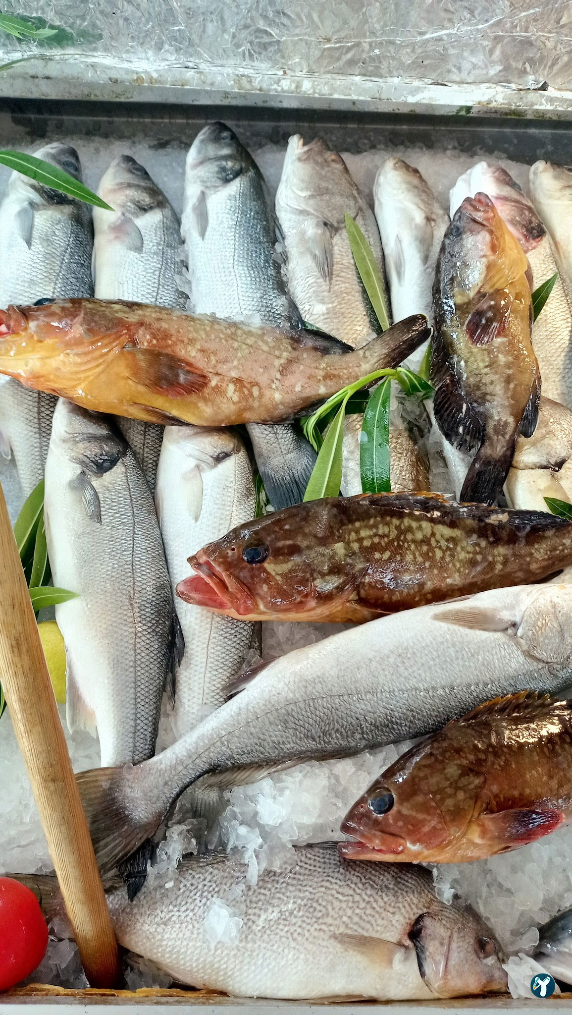 Cemil Baba Restaurant