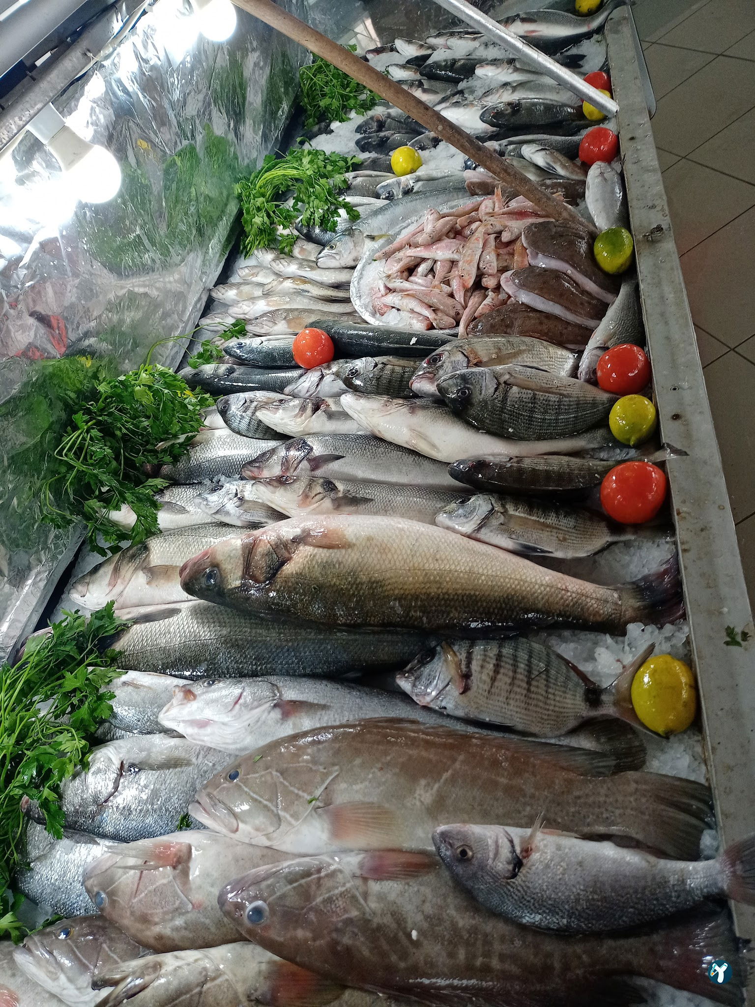 Cemil Baba Restaurant