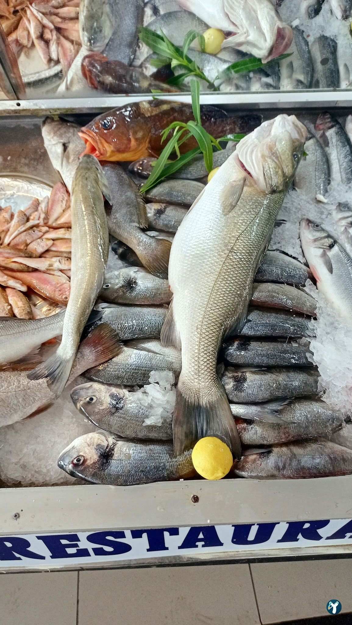 Cemil Baba Restaurant