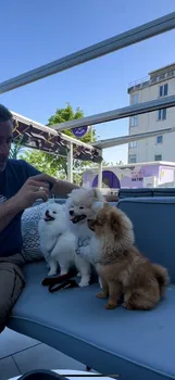 Coffee And Study Atakum/Sahil resimleri