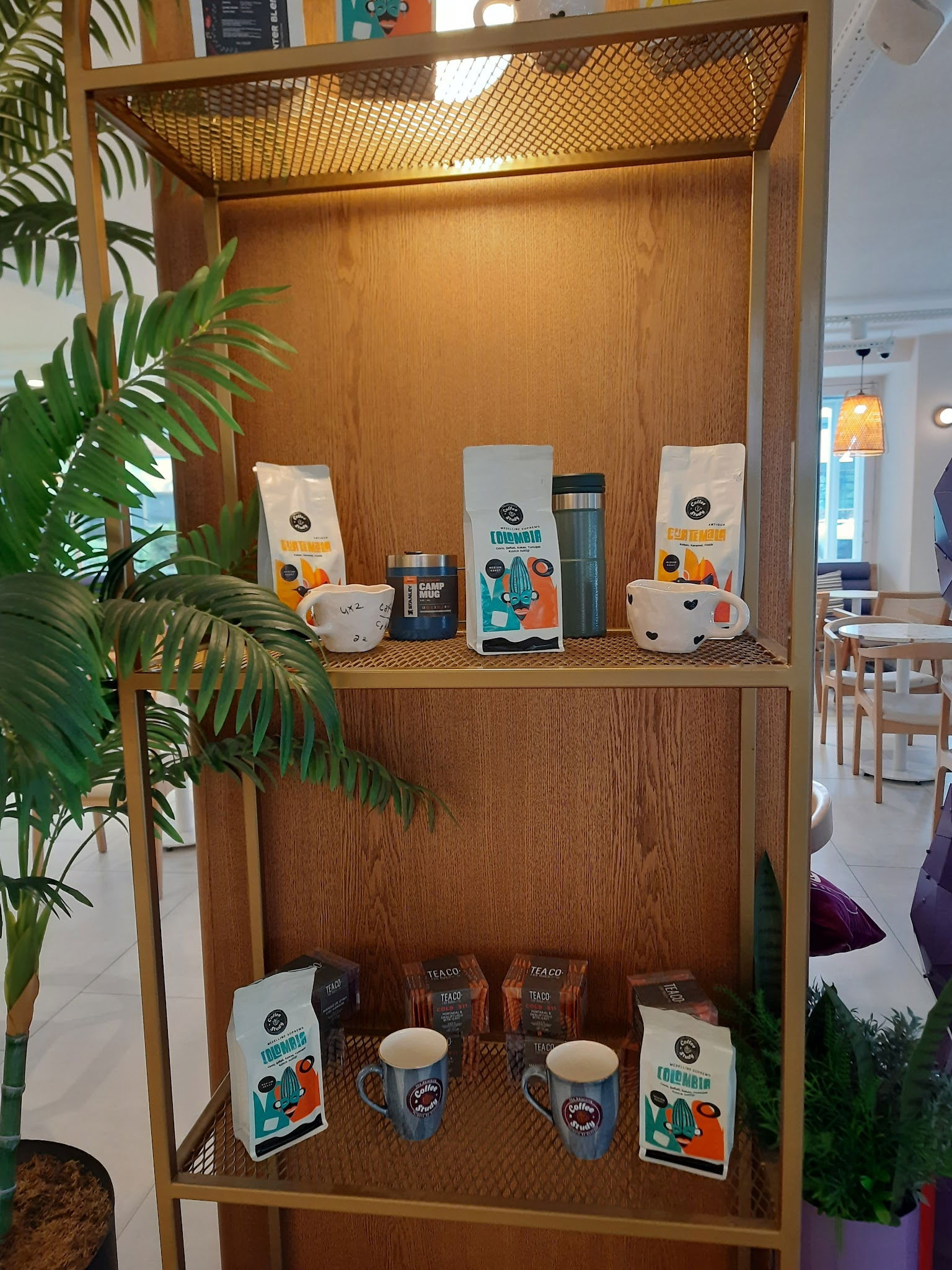 Coffee And Study Atakum/Sahil