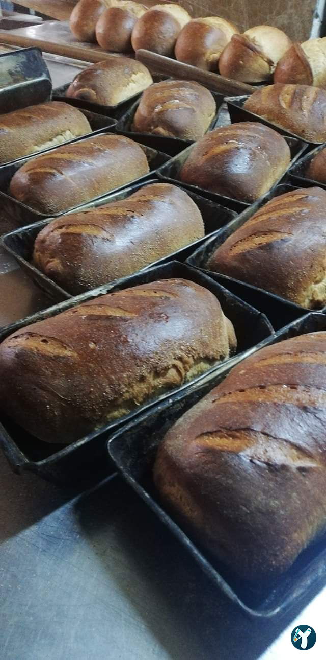 Köy Ekmek Firini