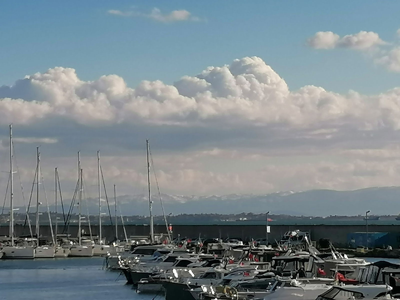 Diego Coffee Street Foods