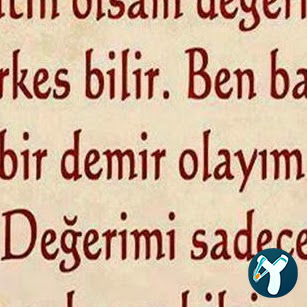 Ayaş Dönercisi