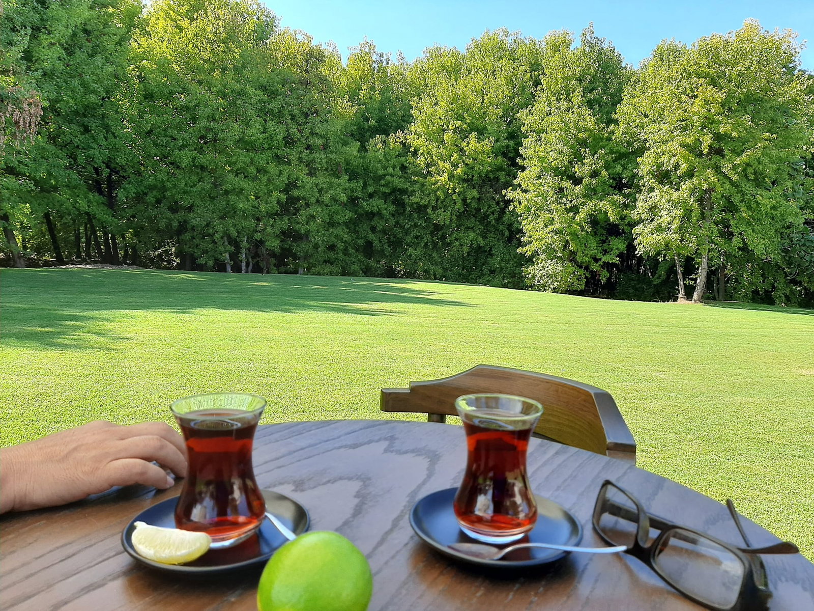 S.A.F Fethiye