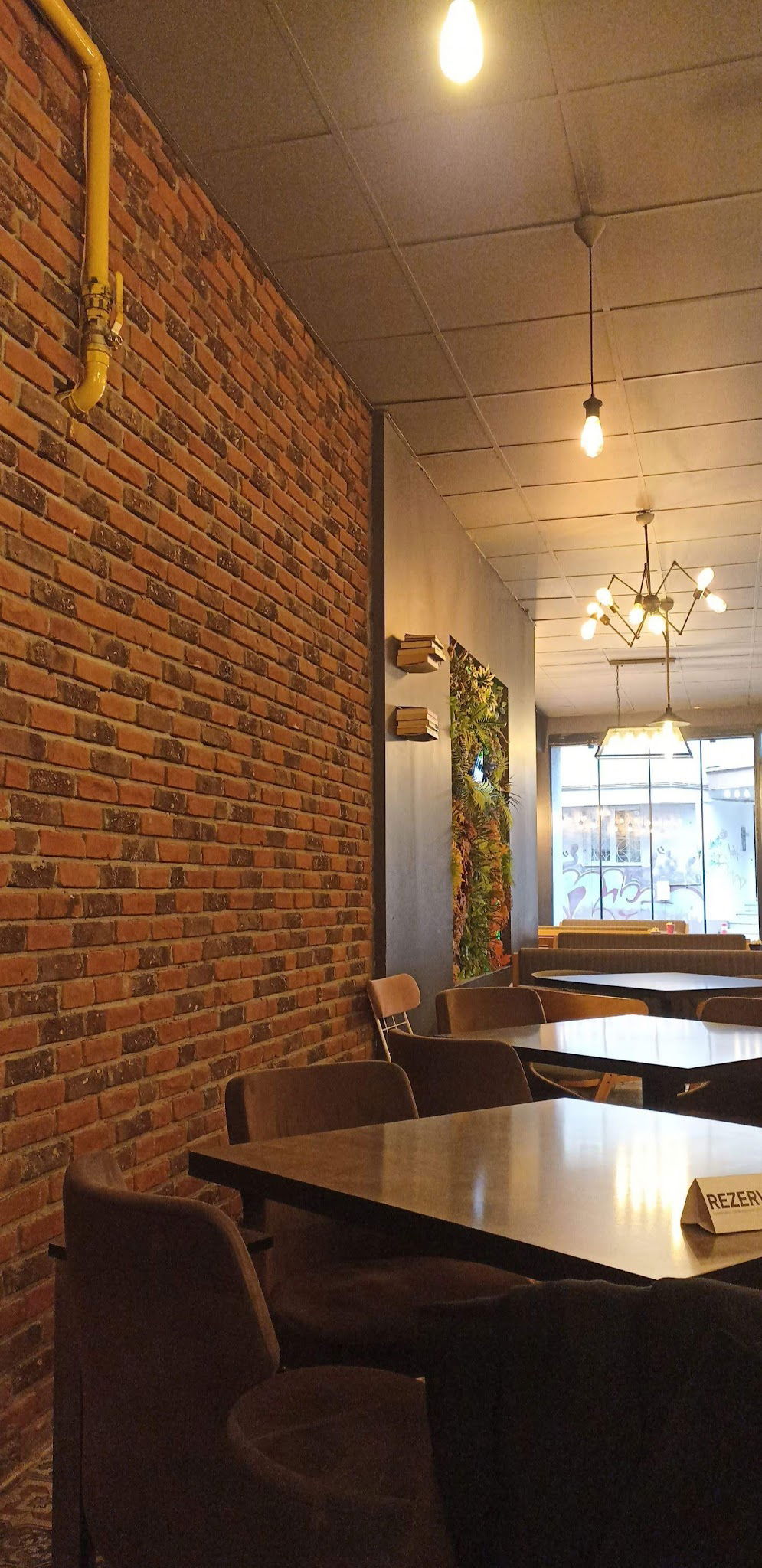 Dolphin Drinking Cafe