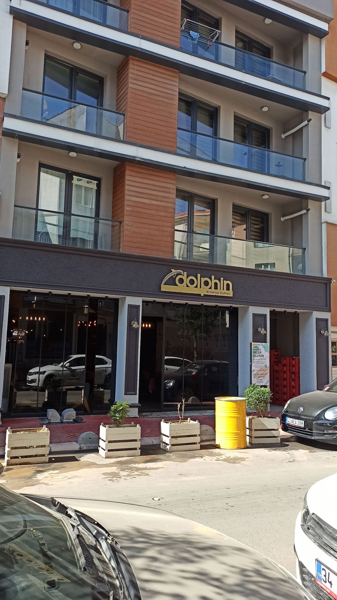 Dolphin Drinking Cafe