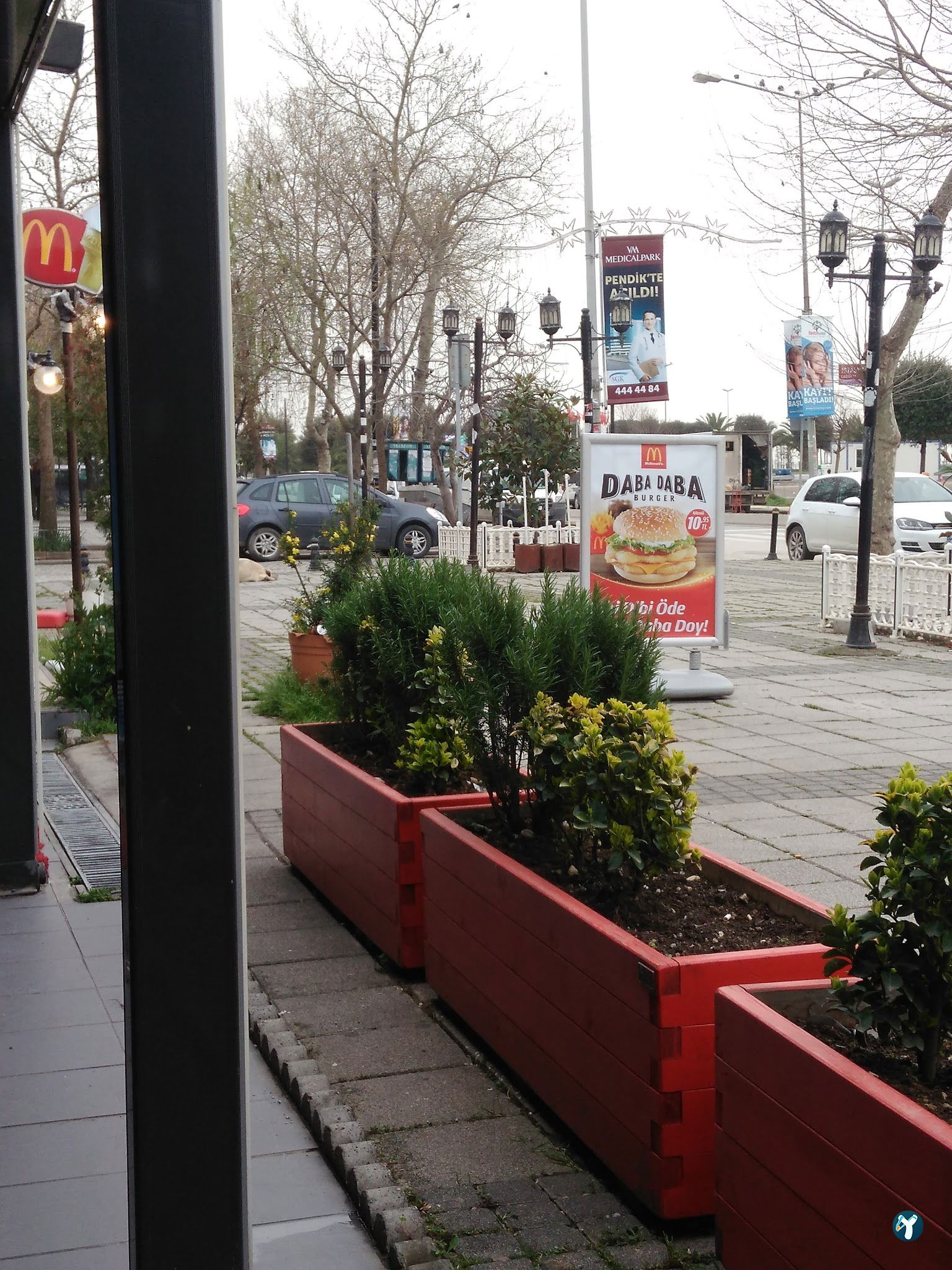 Mcdonald'S