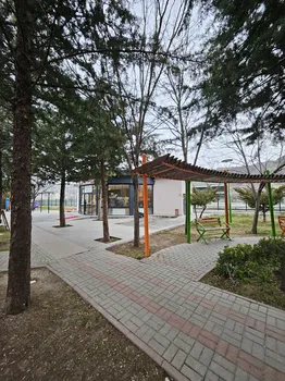 Kayaş Tarihi Çınaraltı Millet Kıraathanesi resimleri