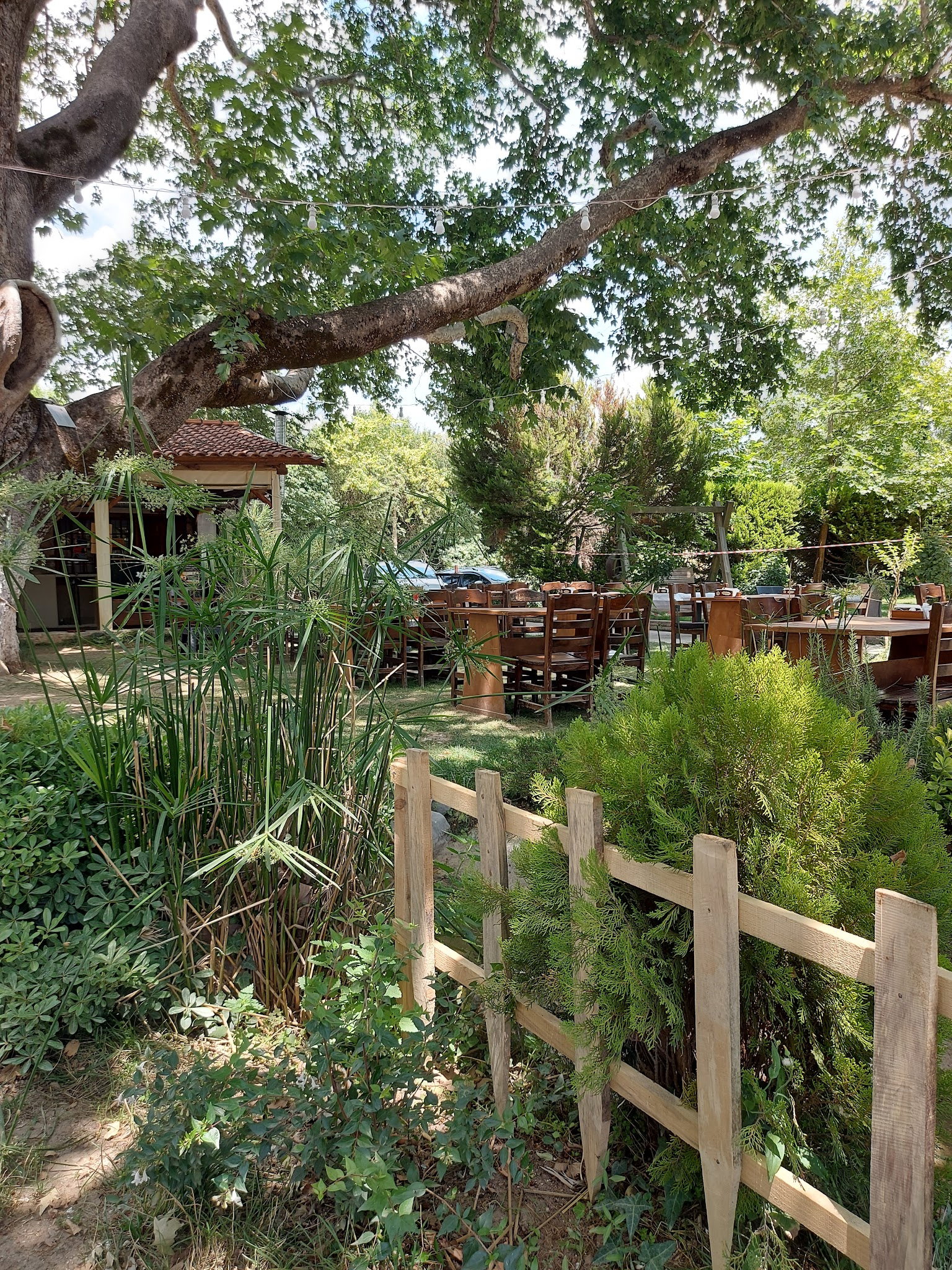 Süpüroğlu Restaurant