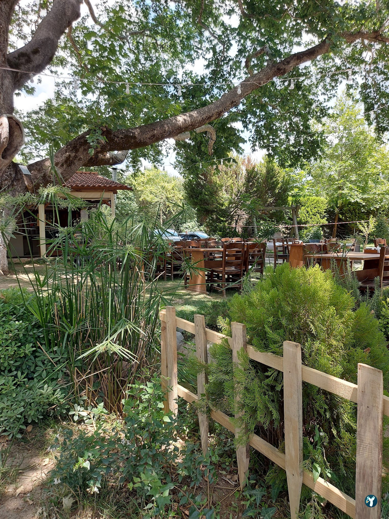 Süpüroğlu Restaurant