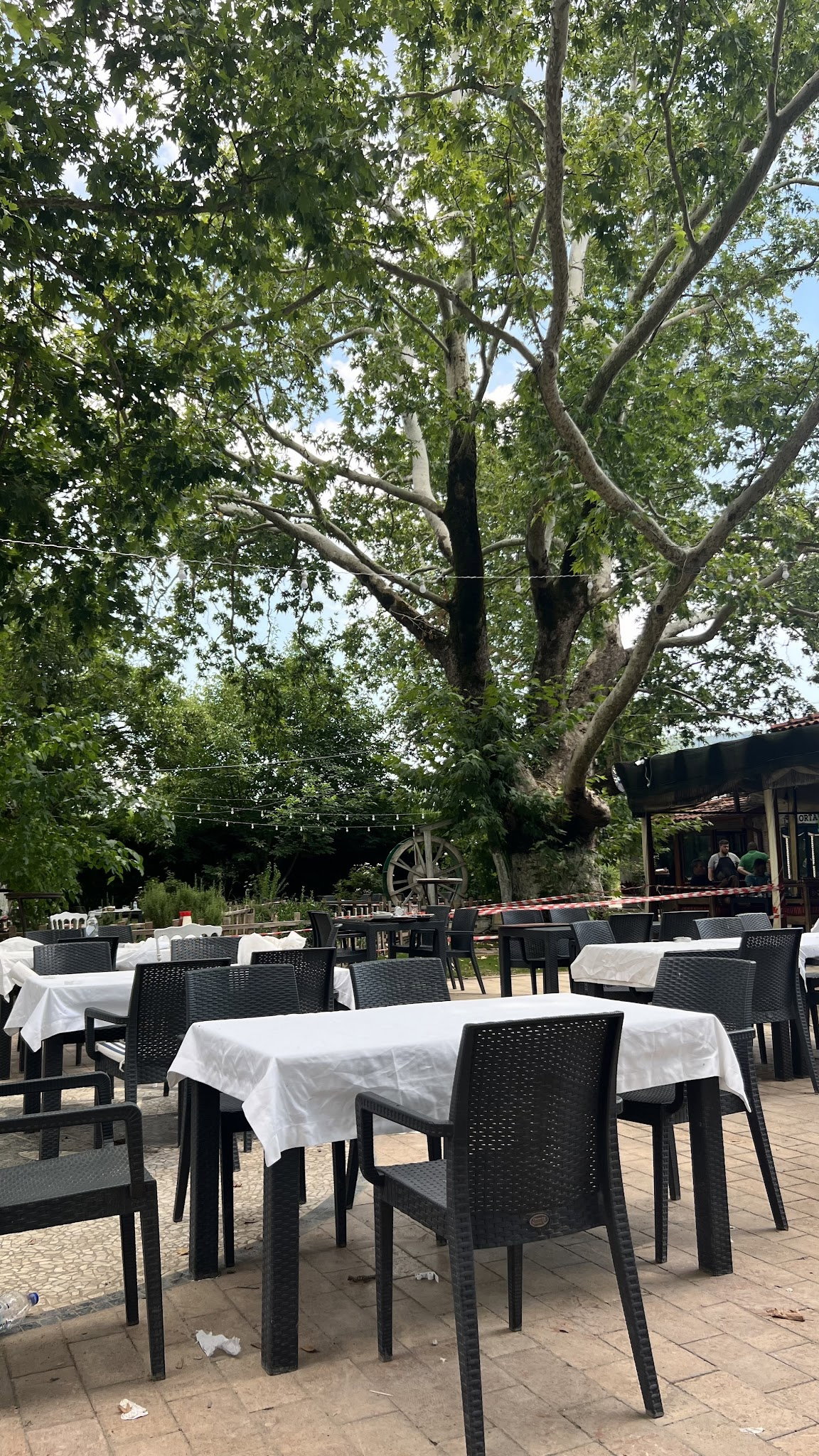 Süpüroğlu Restaurant