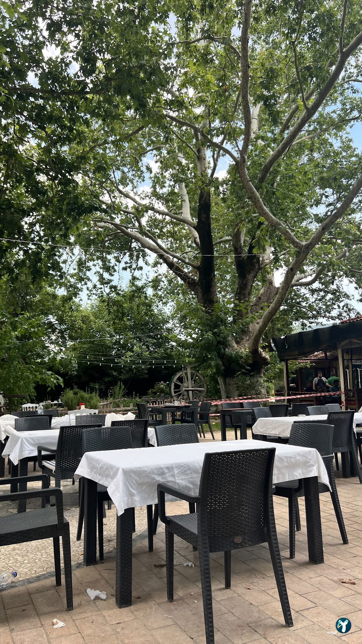Süpüroğlu Restaurant
