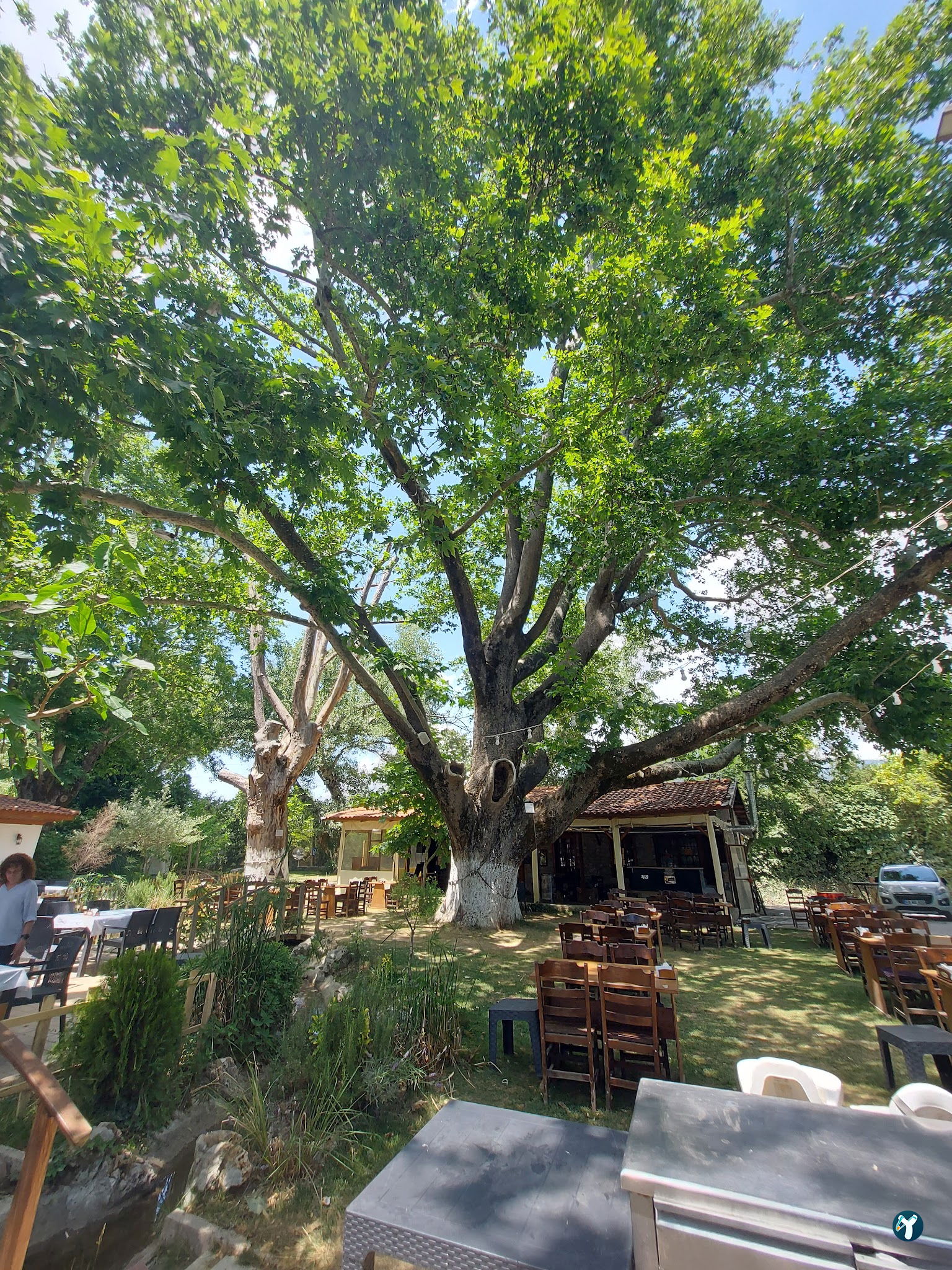 Süpüroğlu Restaurant
