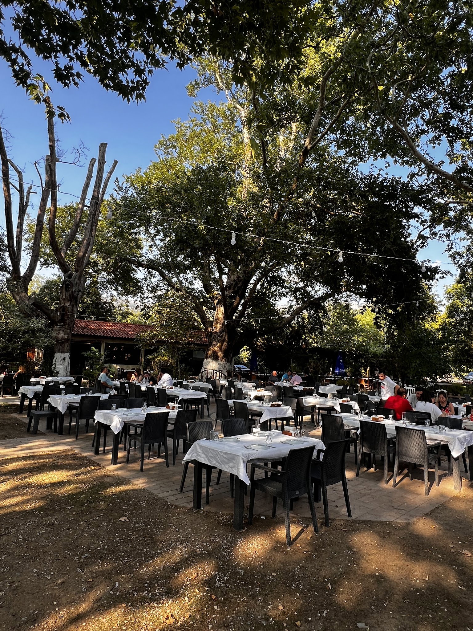 Süpüroğlu Restaurant