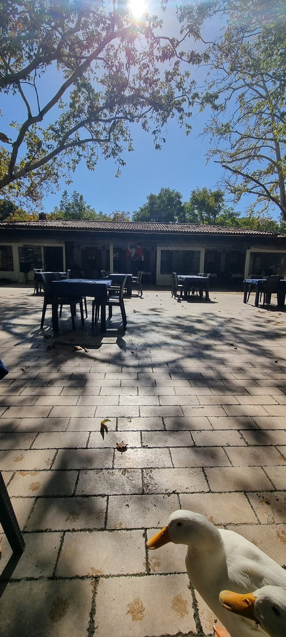 Süpüroğlu Restaurant