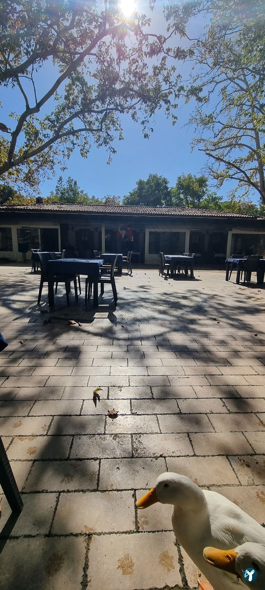 Süpüroğlu Restaurant