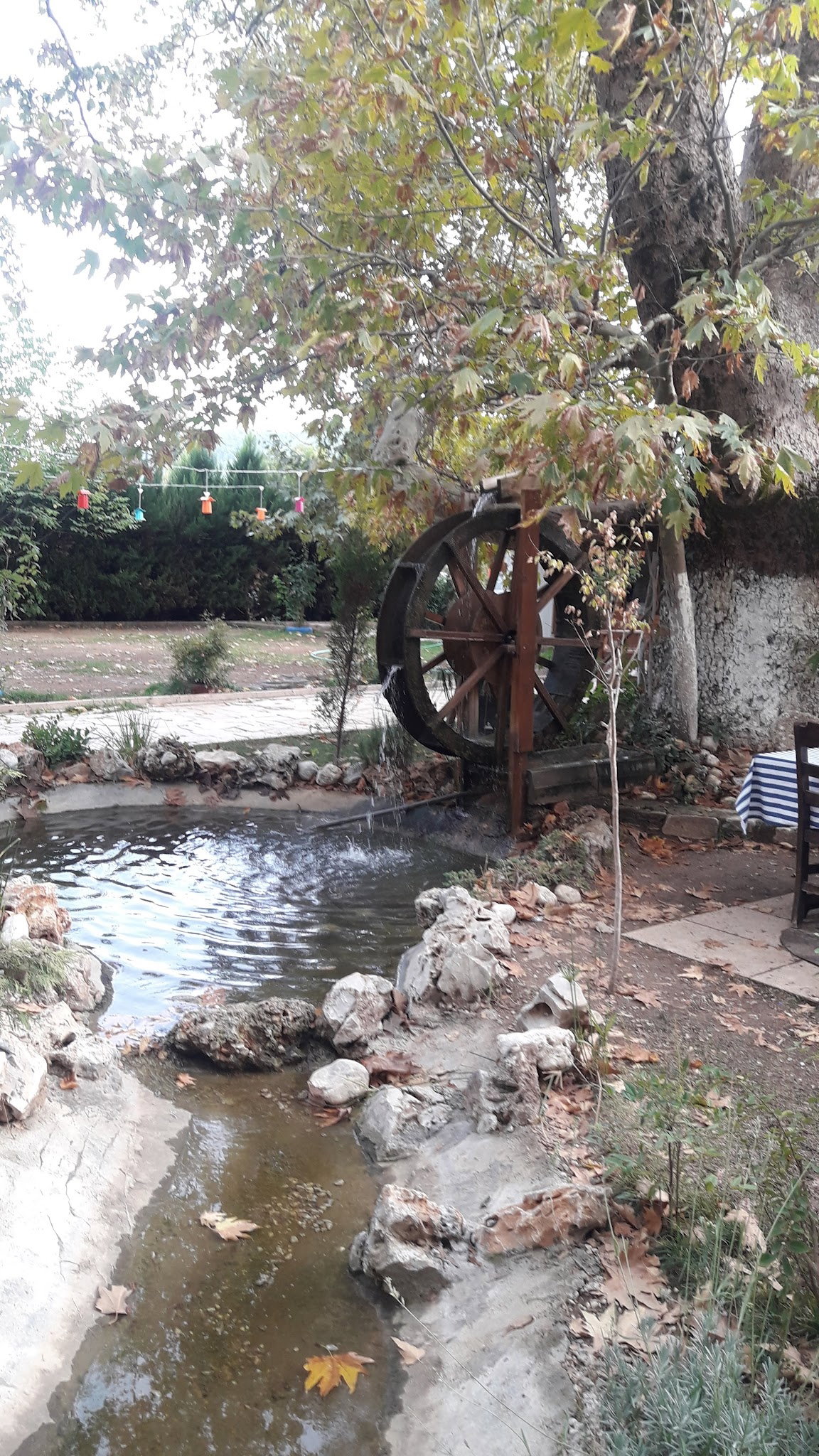 Süpüroğlu Restaurant