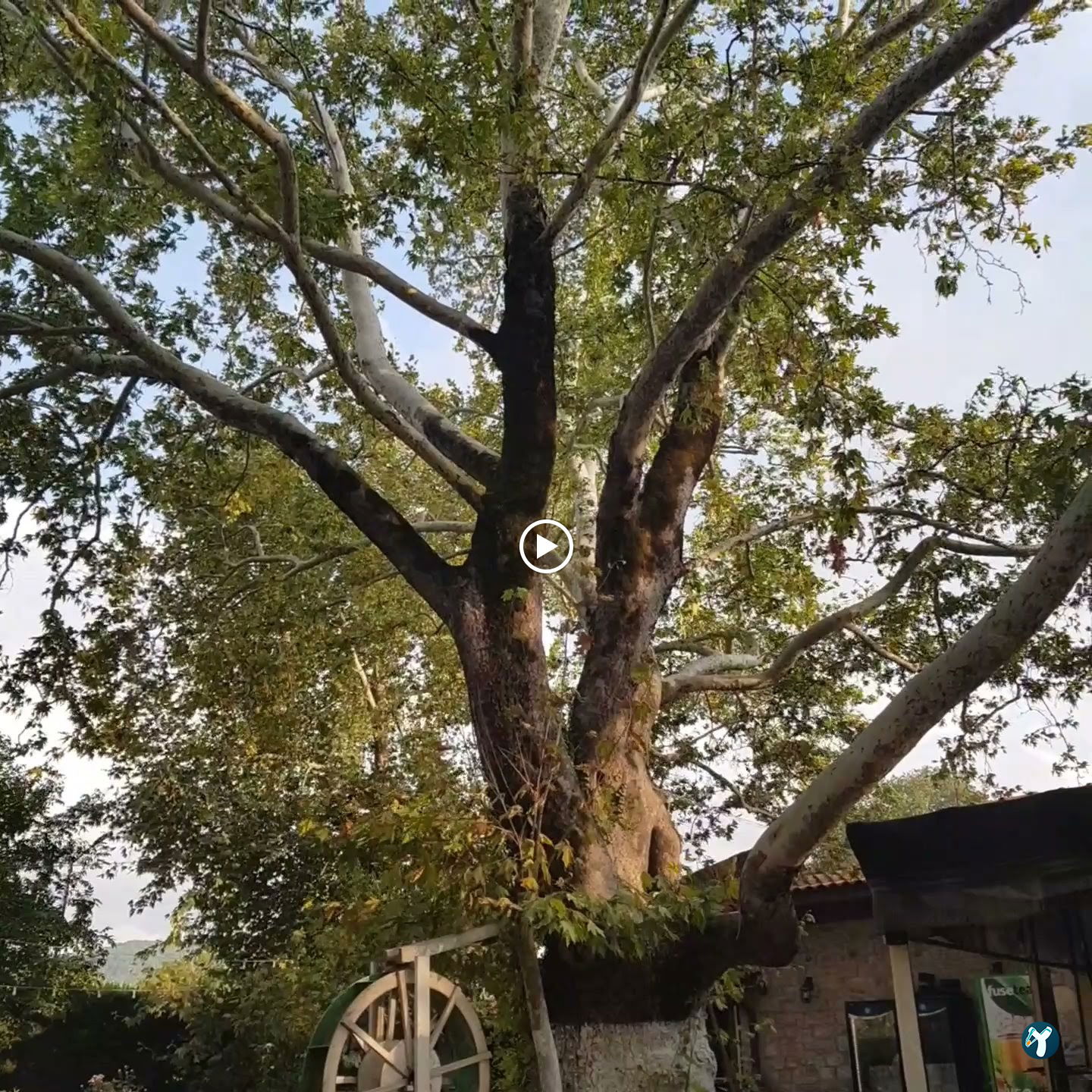 Süpüroğlu Restaurant