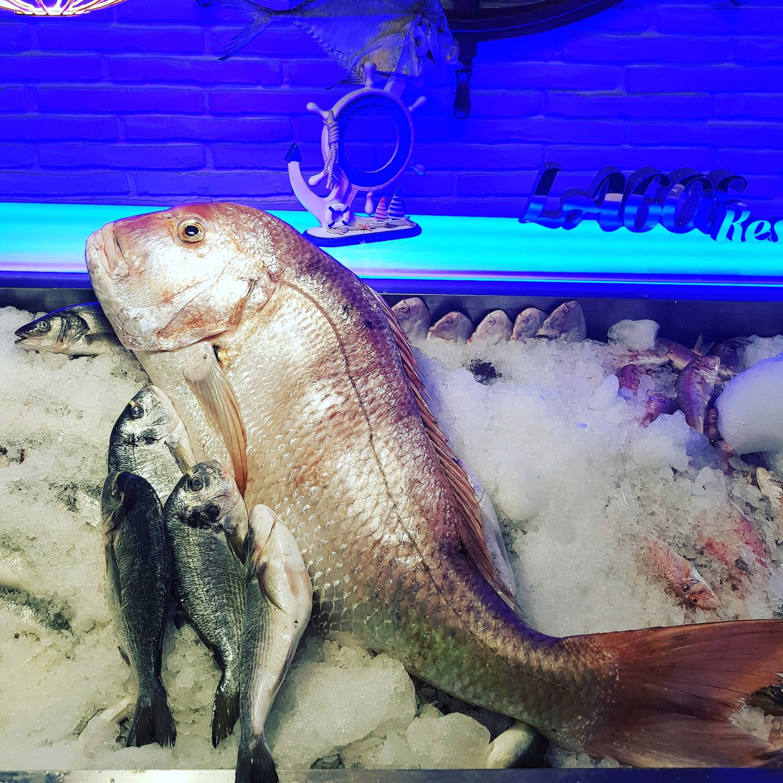 Lagos Balık Restaurant