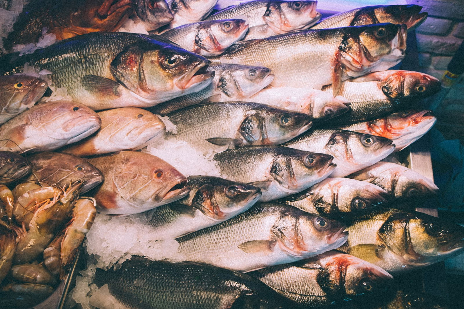 Lagos Balık Restaurant