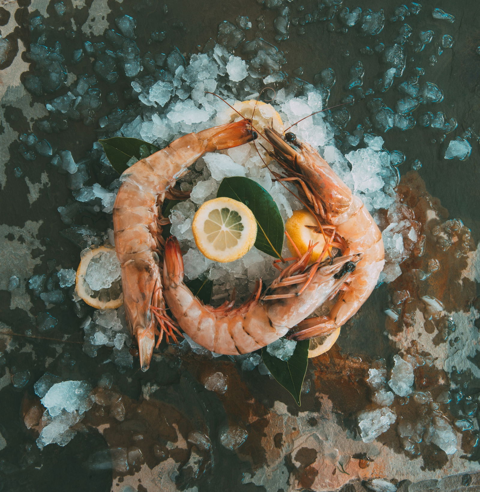 Lagos Balık Restaurant