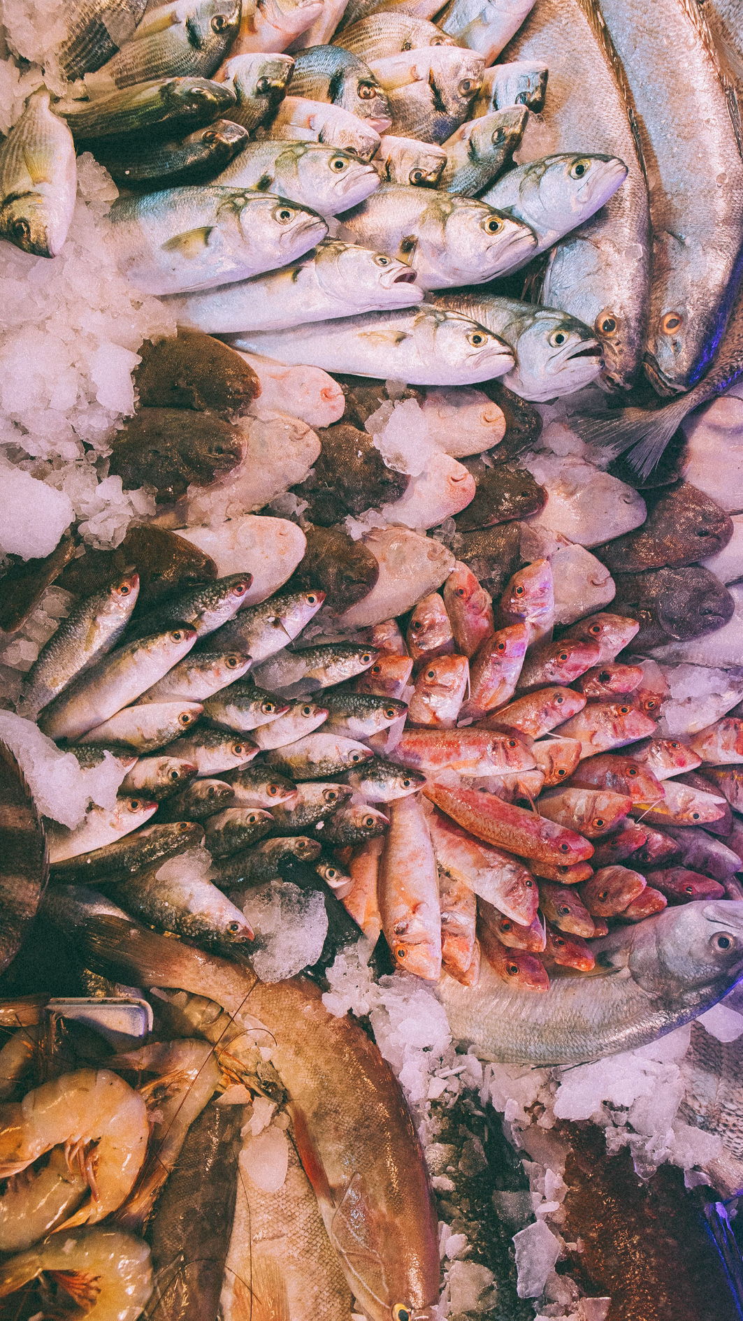 Lagos Balık Restaurant