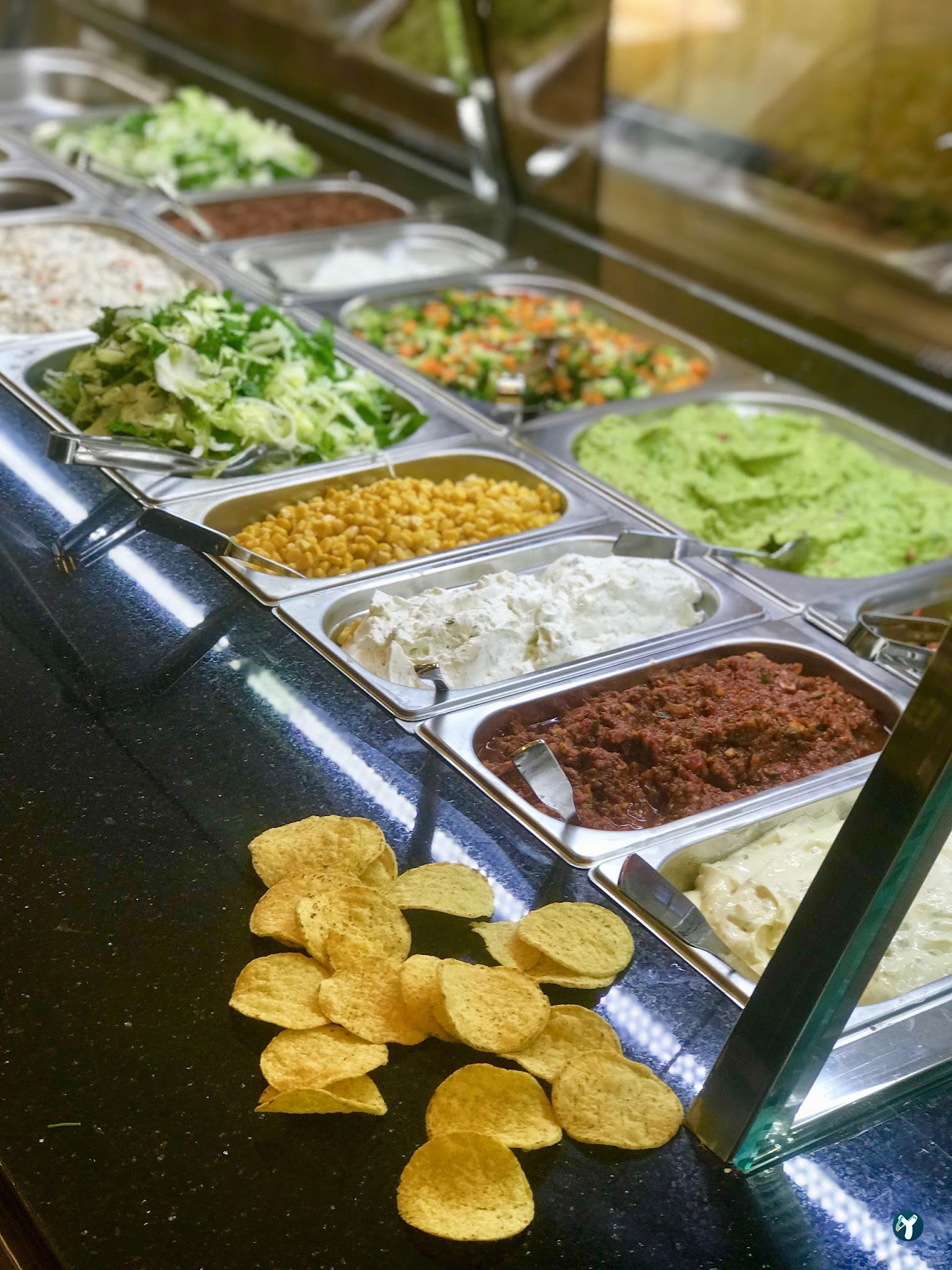 Dr. Burrito