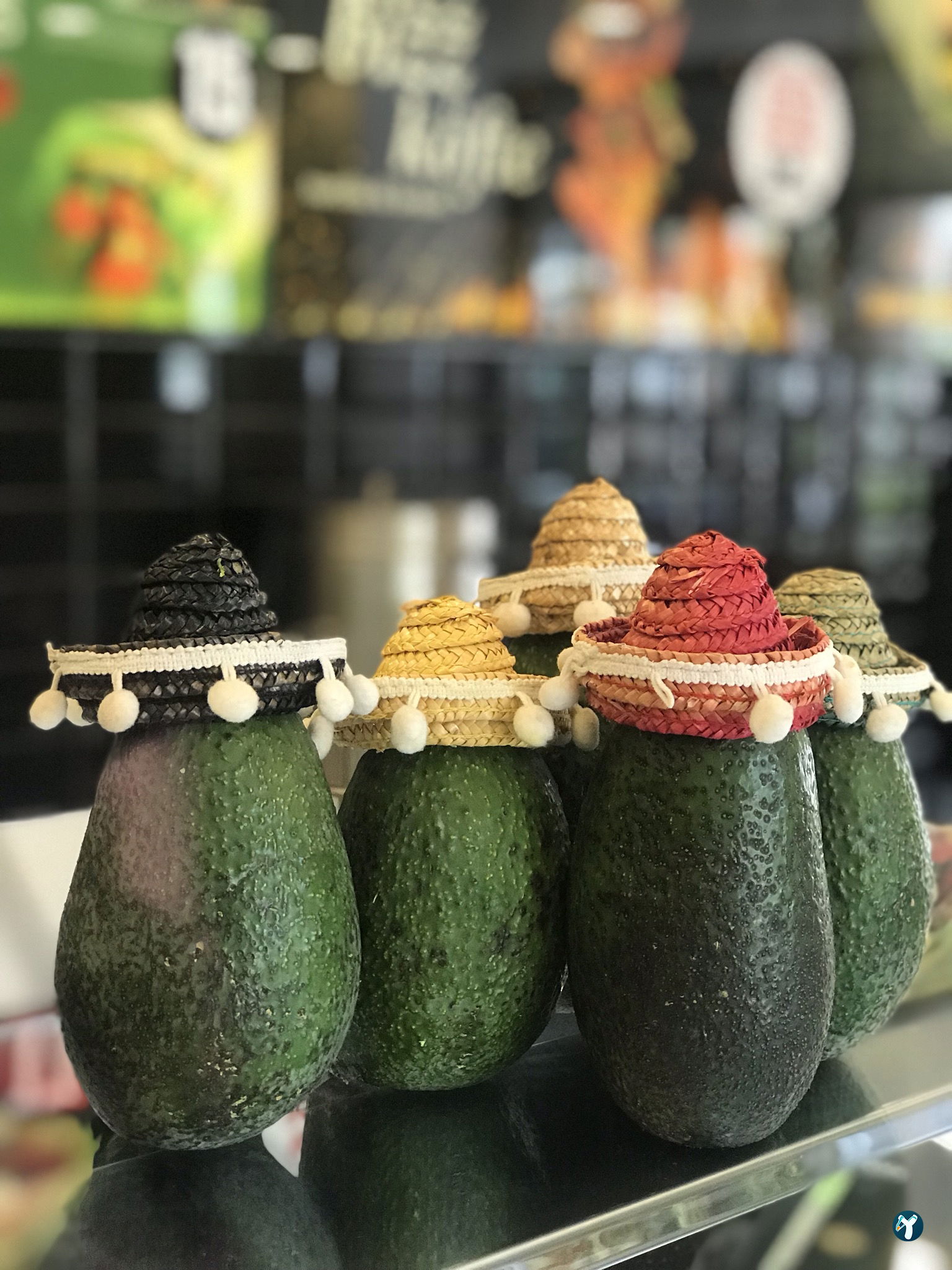 Dr. Burrito
