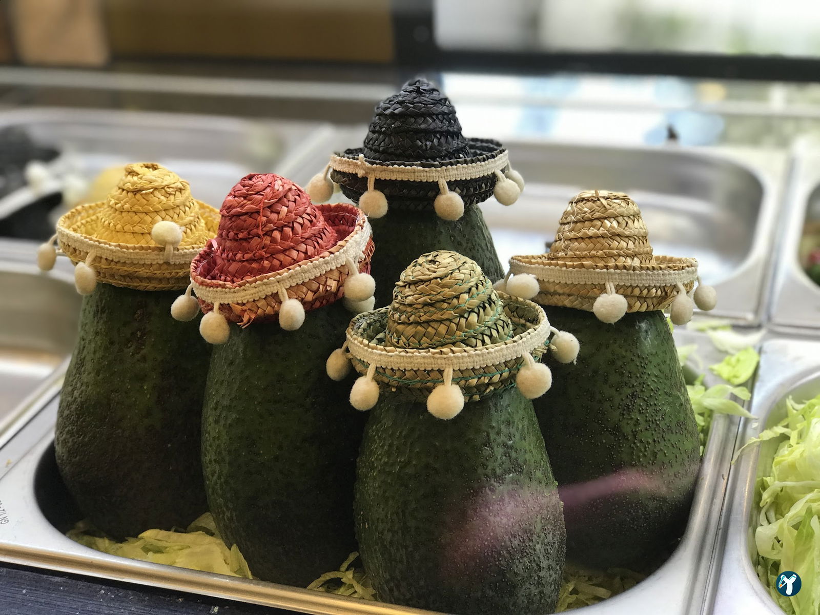 Dr. Burrito