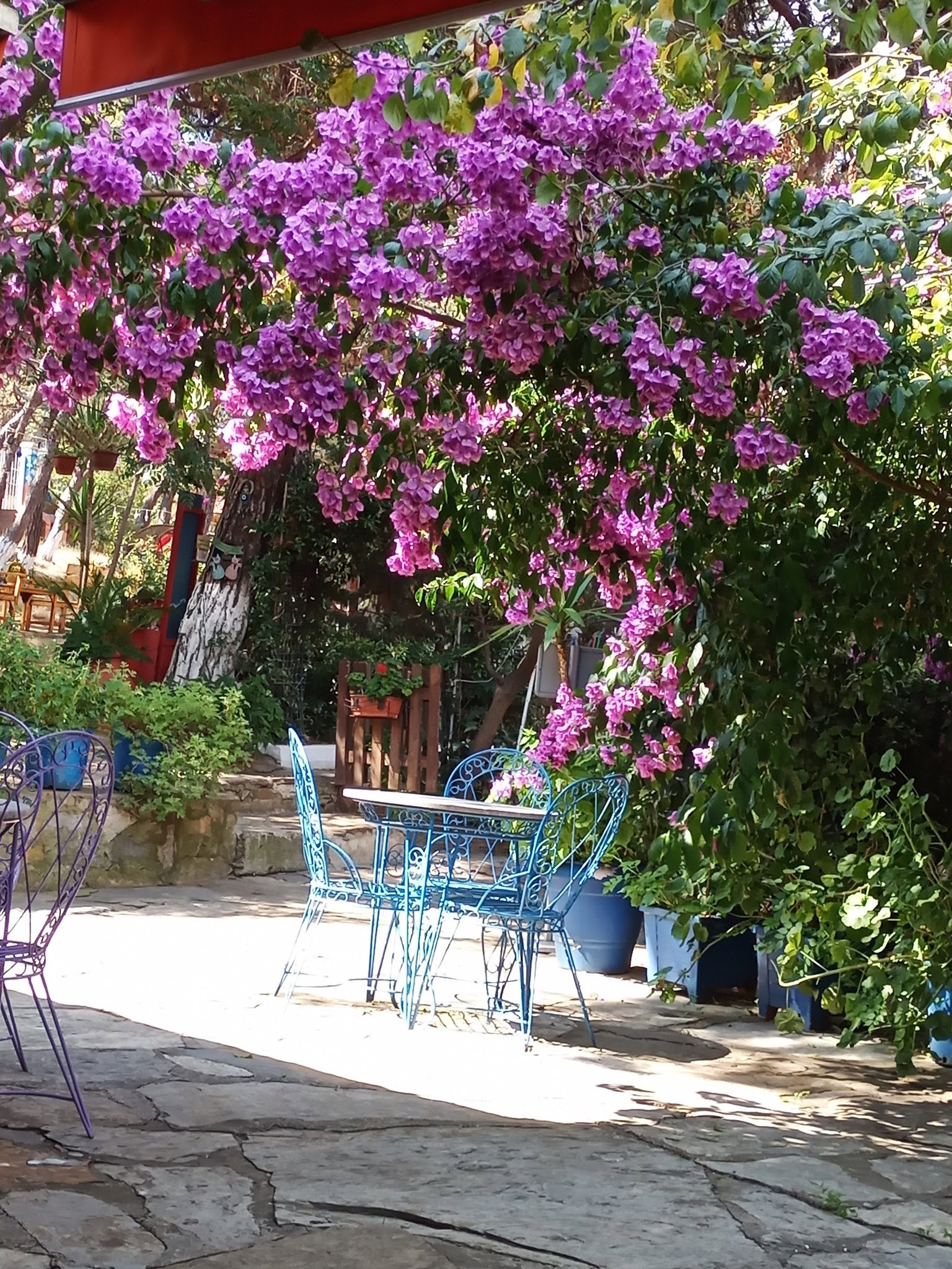 Club Mavi Restaurant