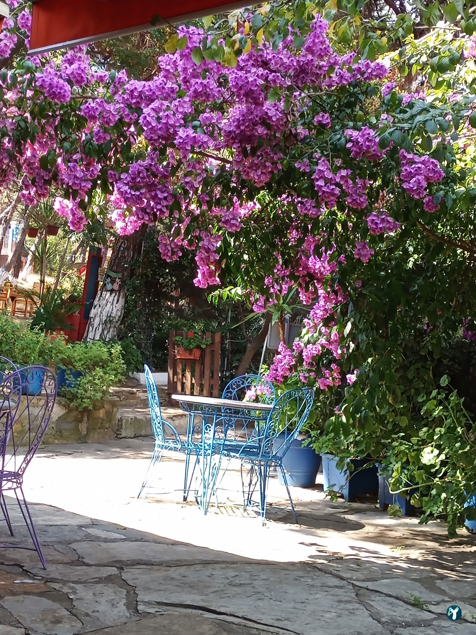 Club Mavi Restaurant