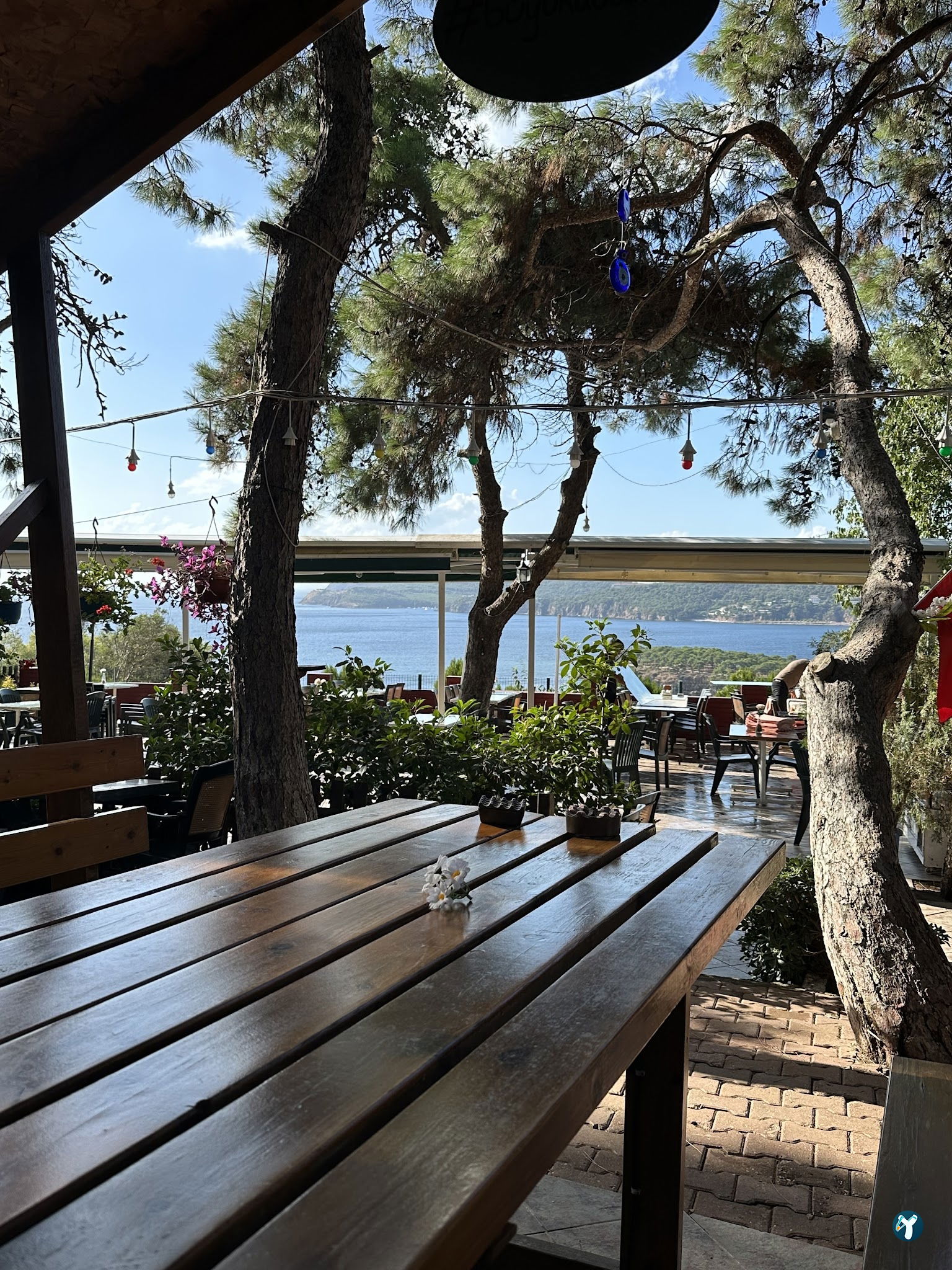 Club Mavi Restaurant
