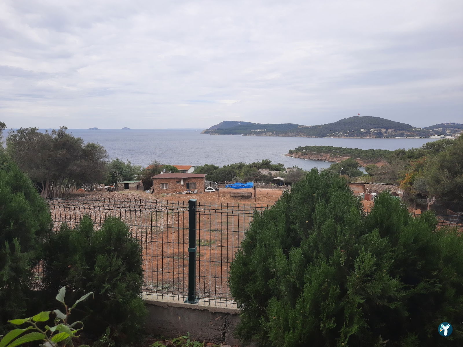 Club Mavi Restaurant