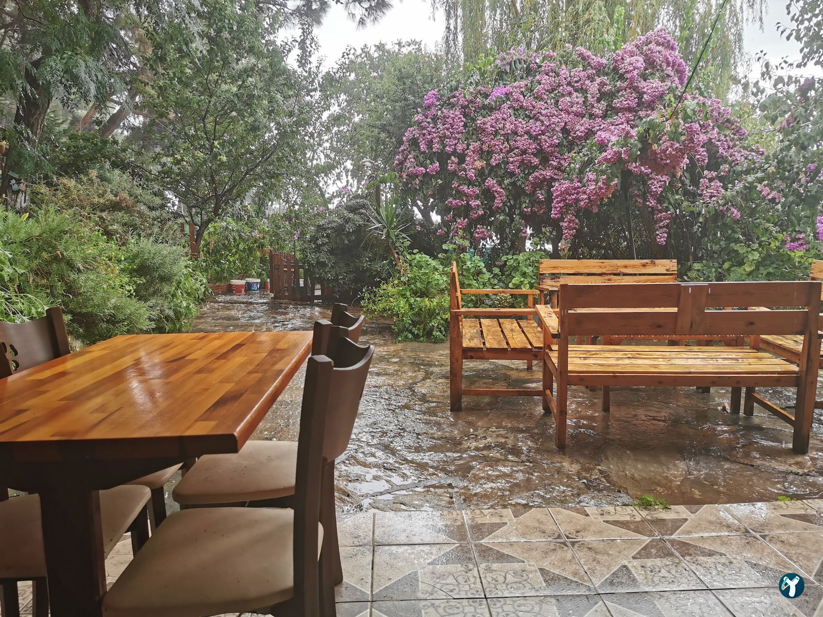 Club Mavi Restaurant