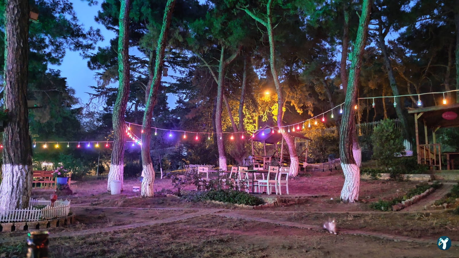 Club Mavi Restaurant