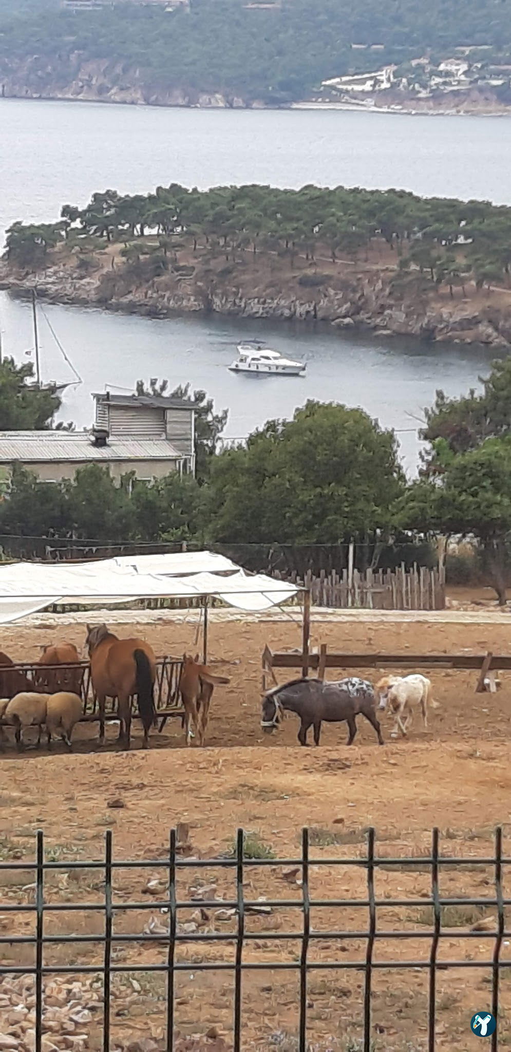 Club Mavi Restaurant