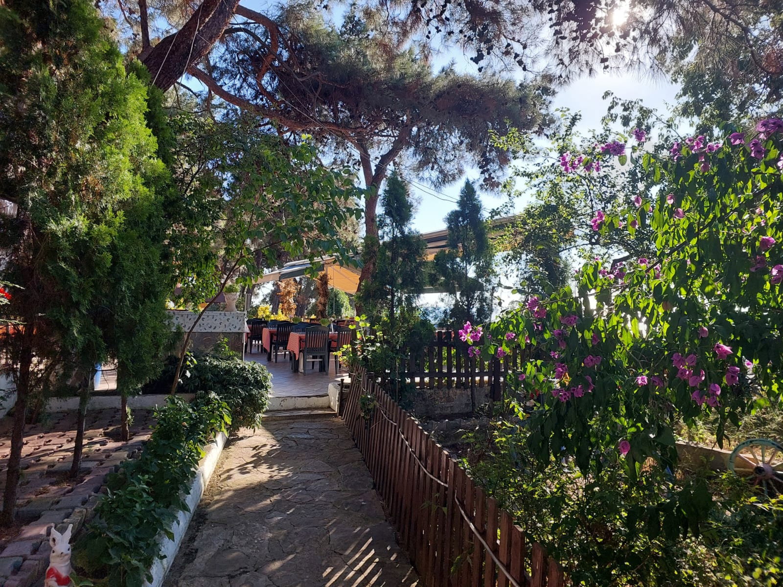 Club Mavi Restaurant