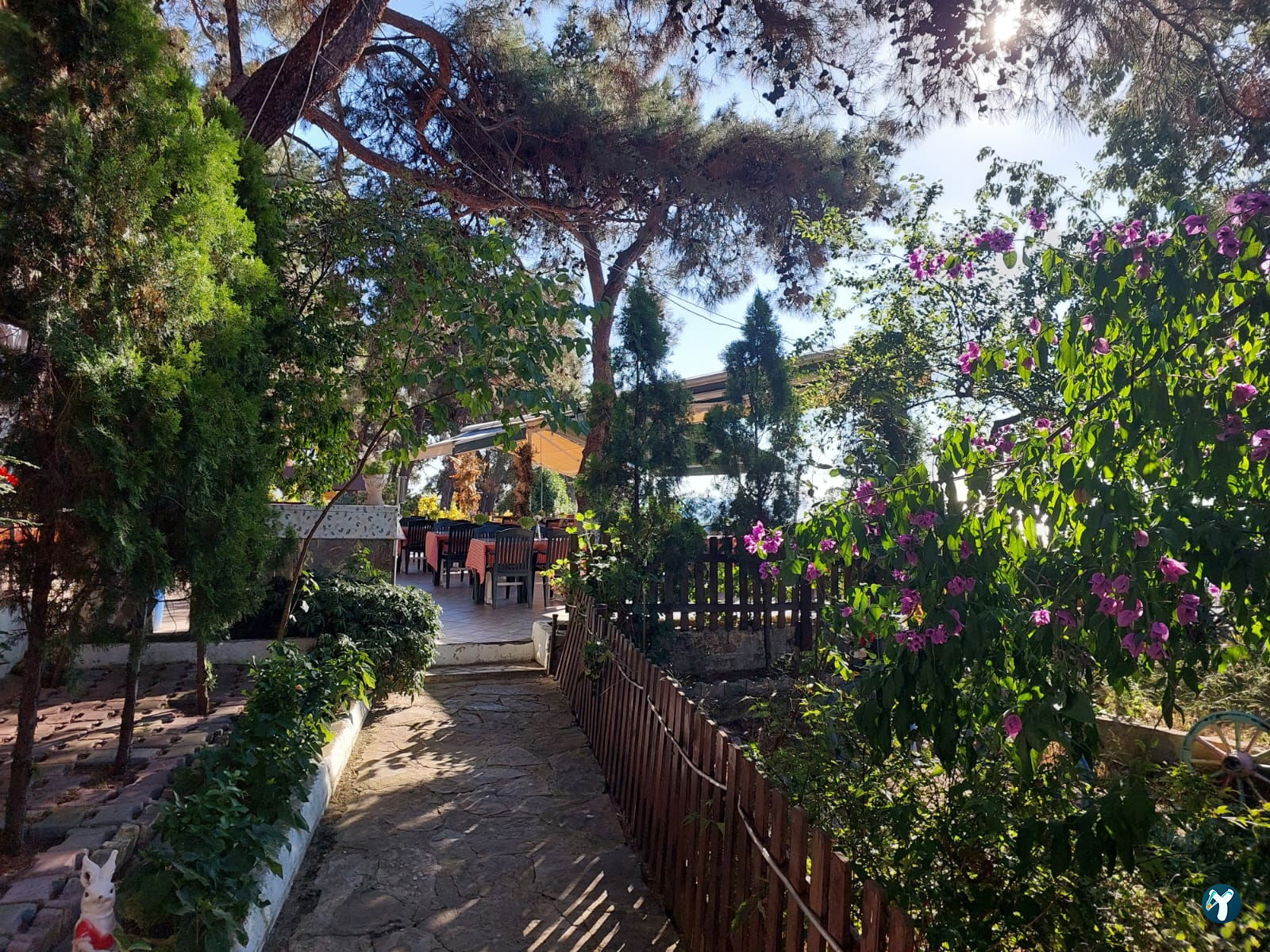 Club Mavi Restaurant
