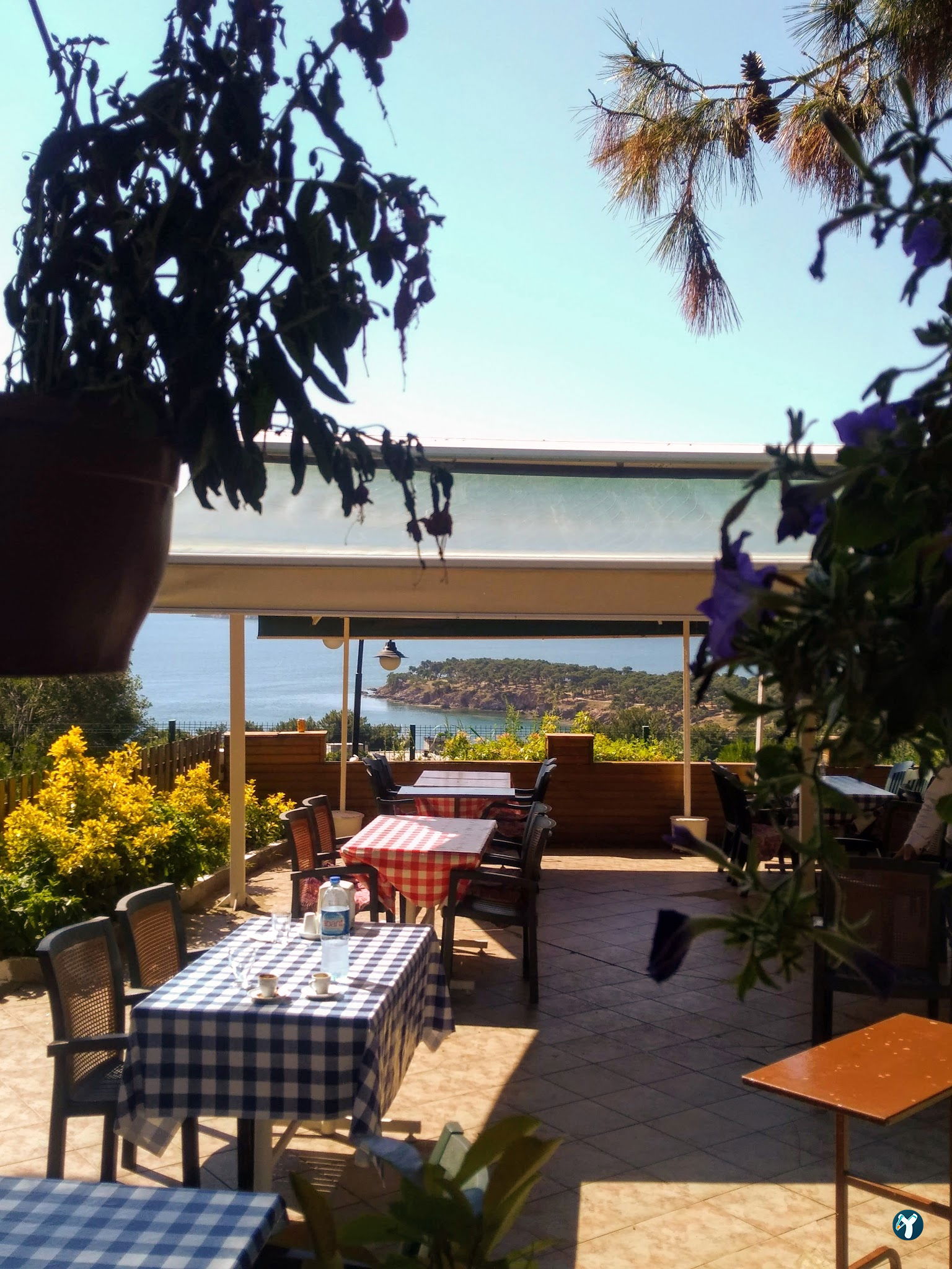 Club Mavi Restaurant