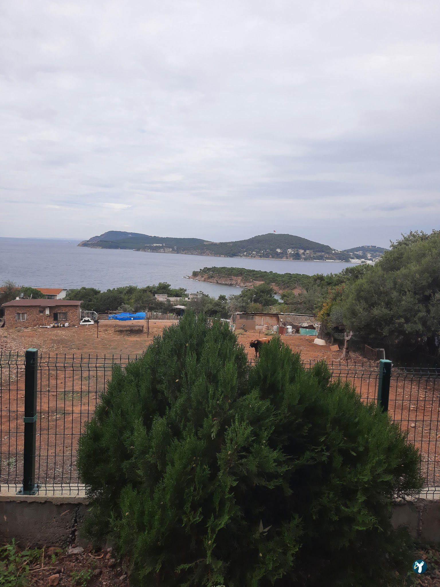 Club Mavi Restaurant