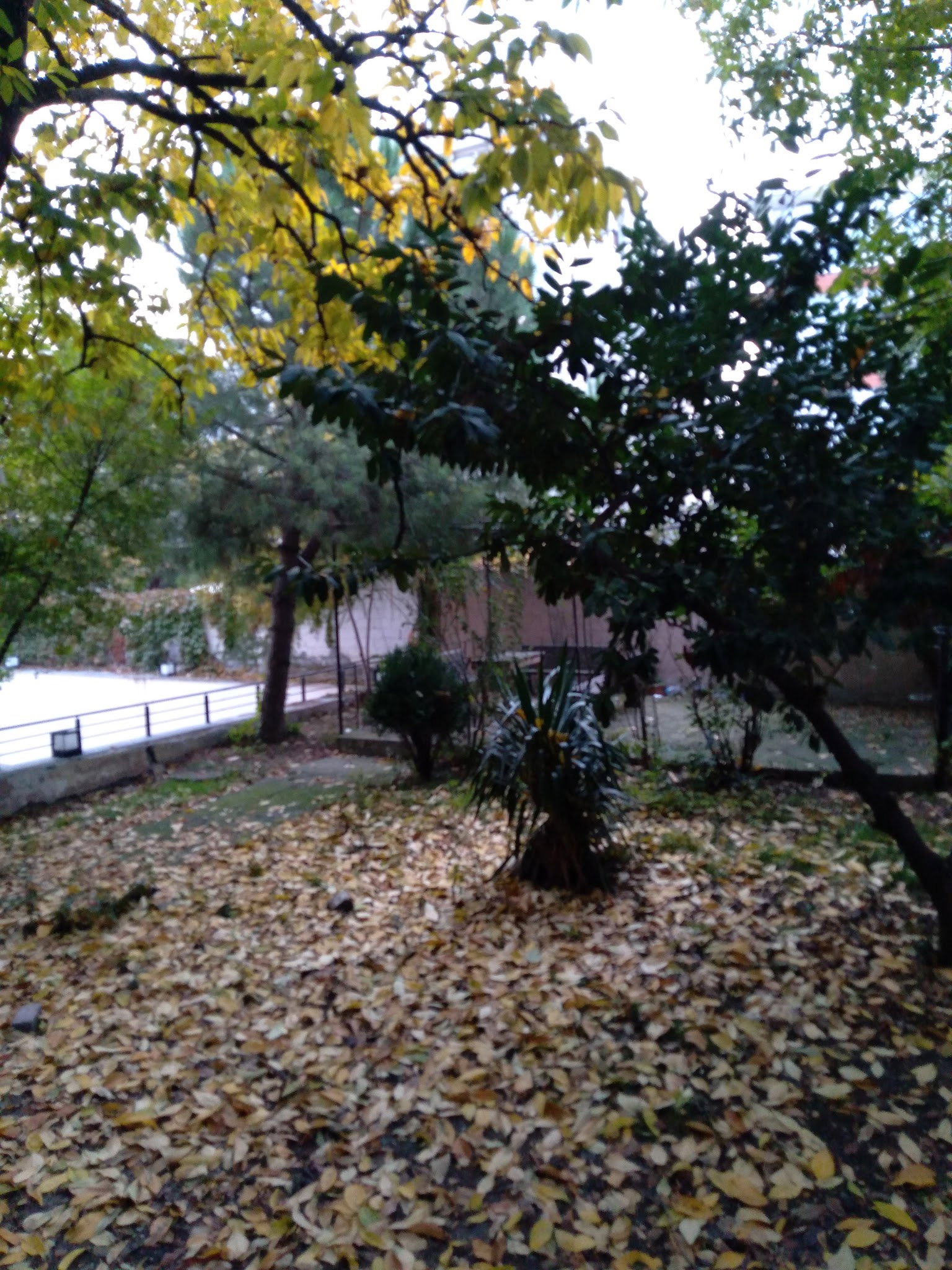 Bakırköy Bafra Pide Salonu