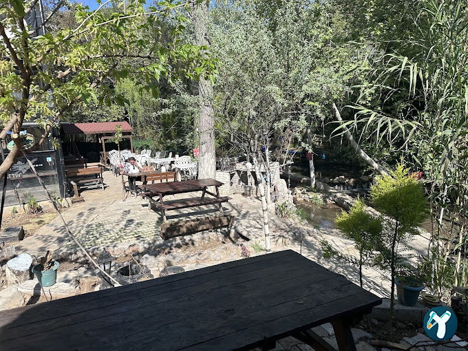 New Saray CSZE Nazarköy Kahvaltı & Restaurant