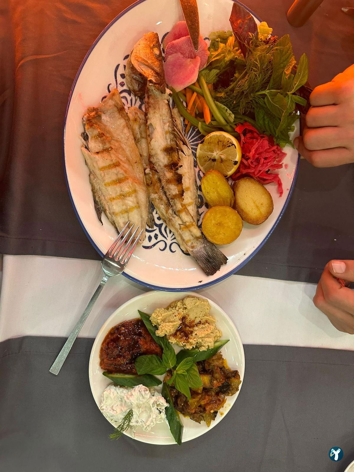Cozy Garden Fish And Meat Restaurant