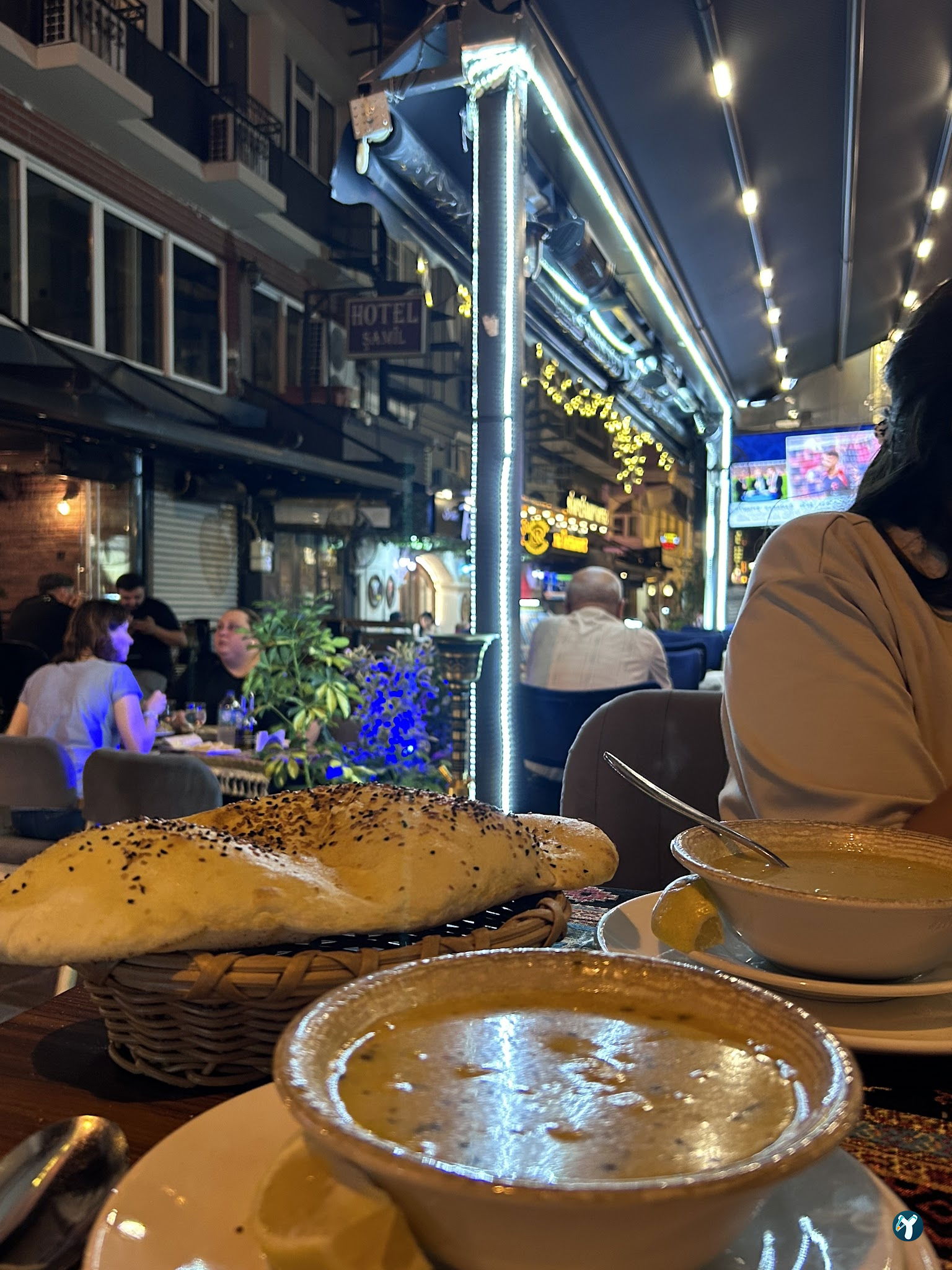 Cozy Garden Fish And Meat Restaurant